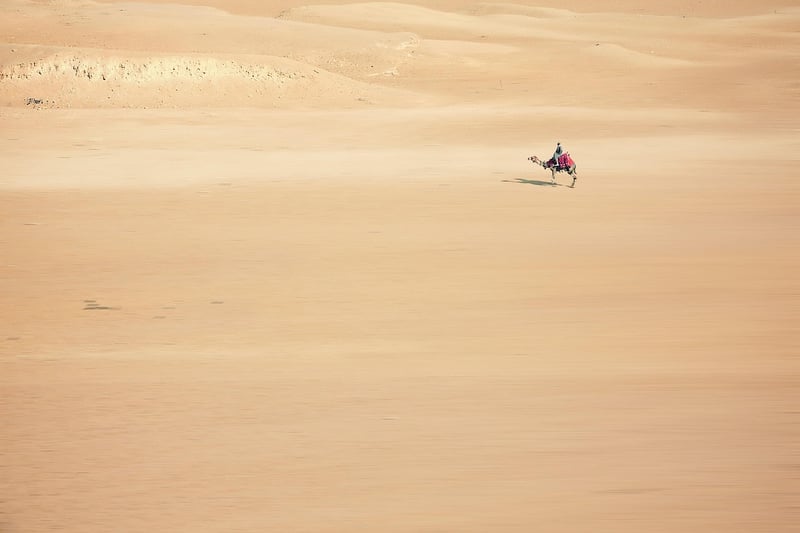 Camel Riding