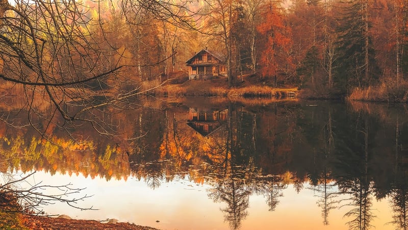 Treetop Villa